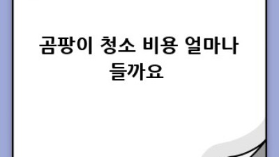 🏠 곰팡이 OUT! 신현동/미산동 청소업체 찐후기✨