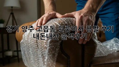 경기 양주 고읍동 원룸이사 용달 후기 🚚💨 #내돈내산 #솔직후기