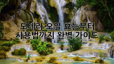 도테라 오일, 효능부터 사용법까지 완벽 가이드