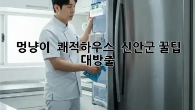 🐶 멍냥이 🏡 쾌적하우스! ✨ 신안군🐾 꿀팁 대방출